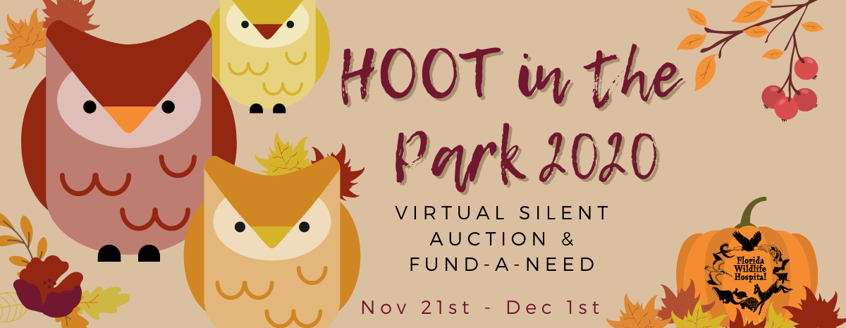 Hoot in the Park Auction